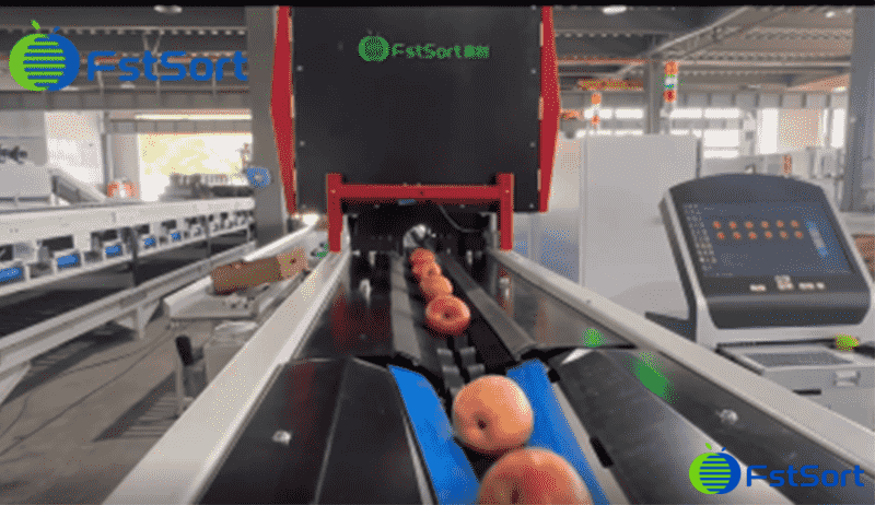 images/1747387190639Apple AI grading system.png